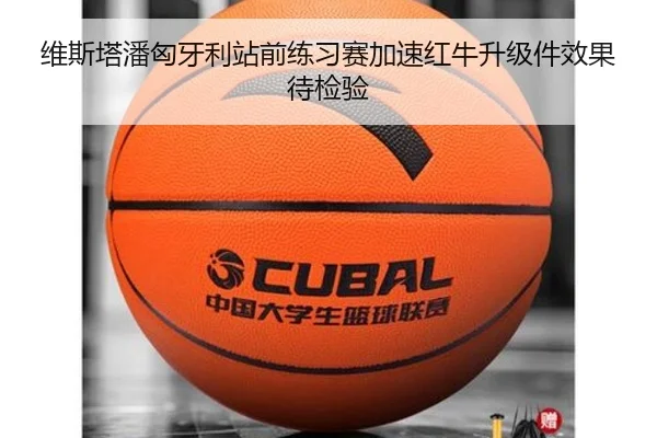 维斯塔潘匈牙利站前练习赛加速红牛升级件效果待检验